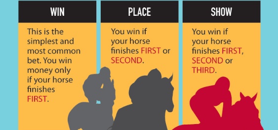 horse betting terms exacta inn