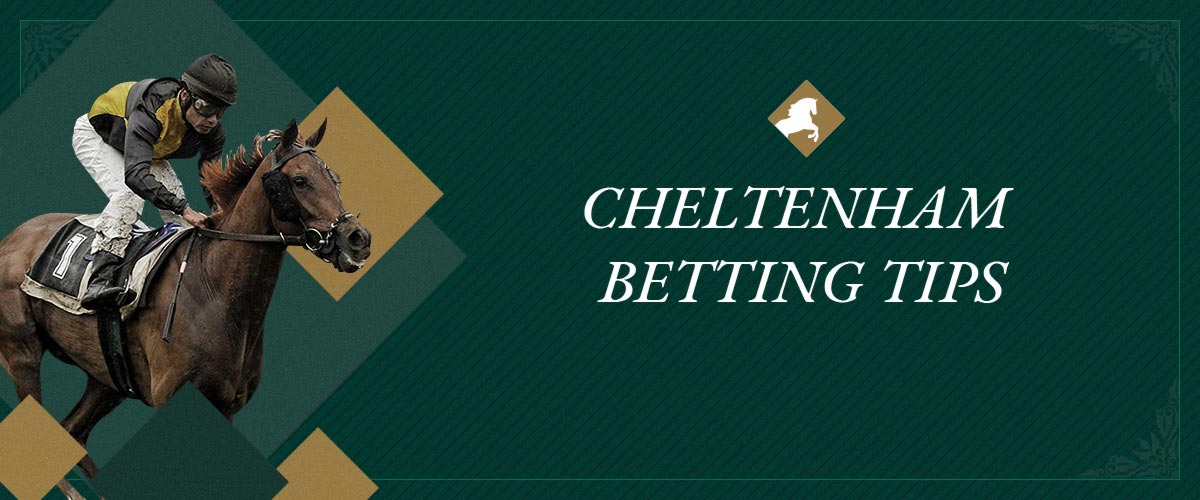Cheltenham betting tips