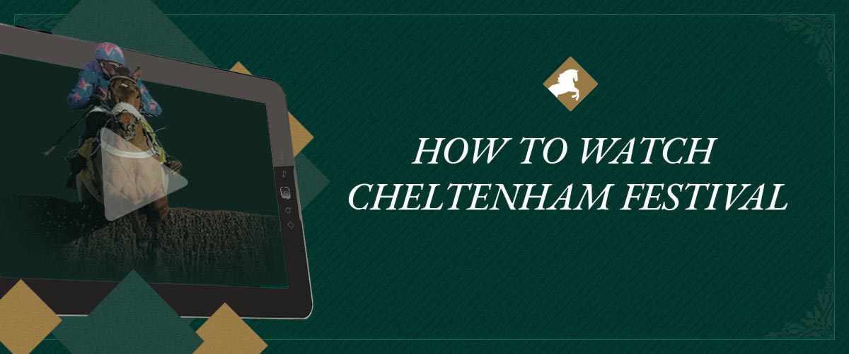 How to watch cheltenham festival